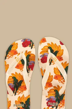 FARM Rio Banana Nest Havaianas Sandals Outlet