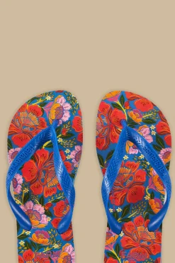 FARM Rio Blue Flowers Garden Havaianas Sandals Best