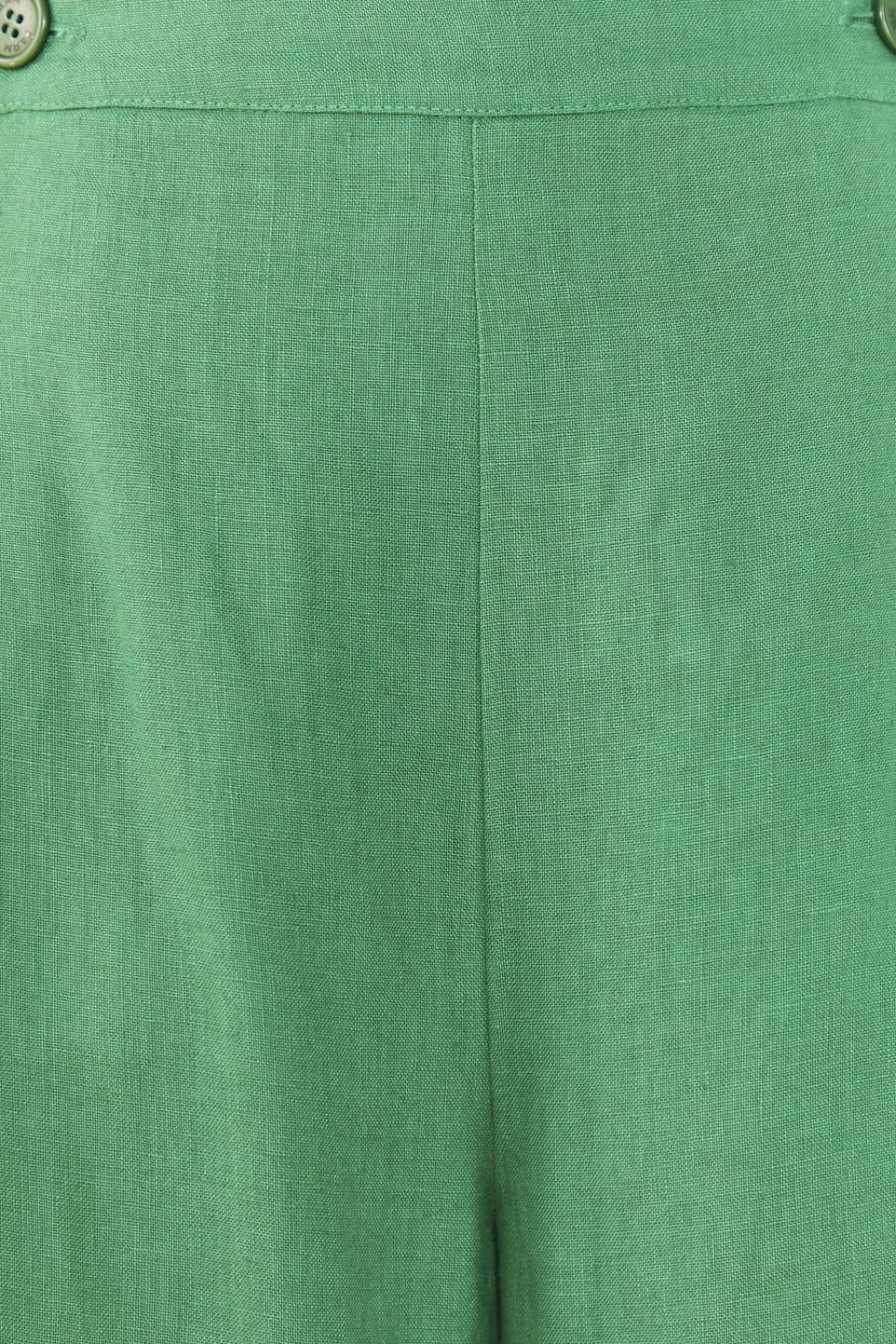 FARM Rio Embroided Green Pants Clearance