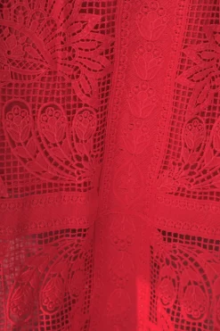 FARM Rio Red Toucan Guipure Midi Skirt Online